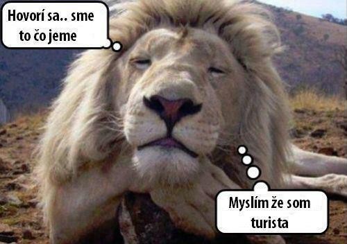 Turista